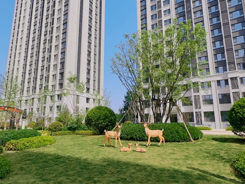 泰和東郡四期西區(qū)室外景觀綠化工程